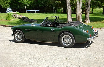 Austin Healey
